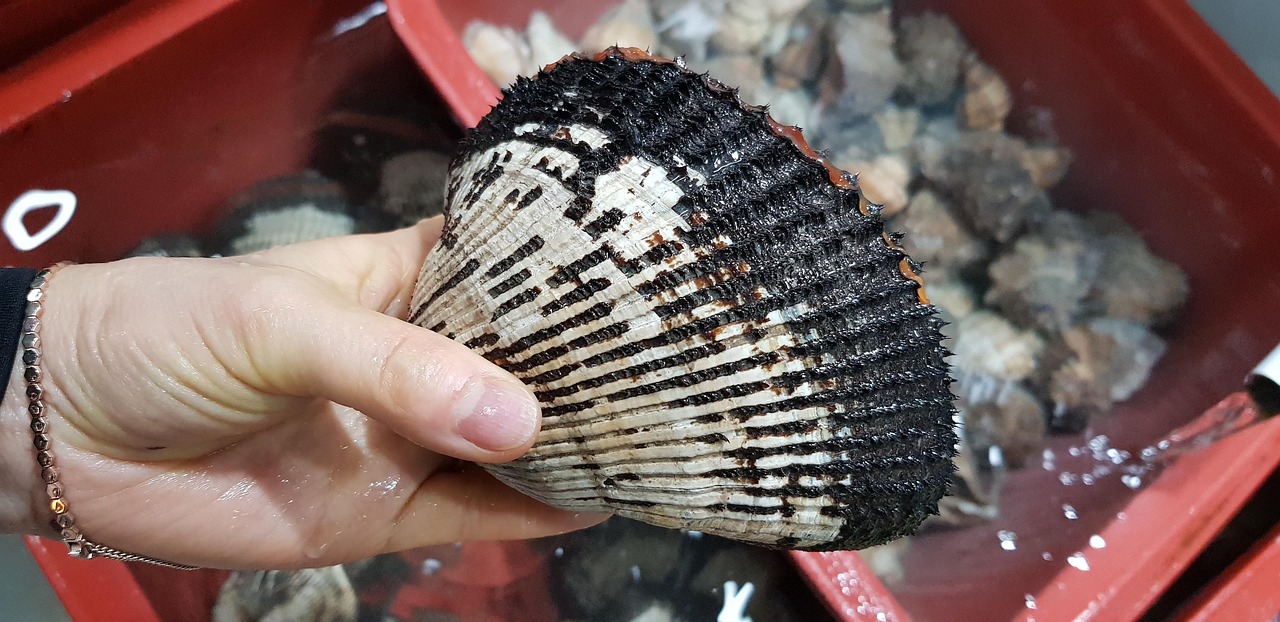 高級志向の敬老の日にぴったりな無添加サプリギフトは？