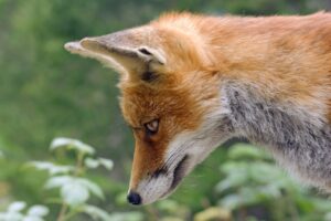 敬老の日にサプリギフトを贈る際の薬飲んでいる人への注意点は？