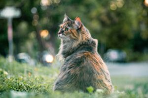 敬老の日に持病ある人に最適なサプリギフトの選び方は？