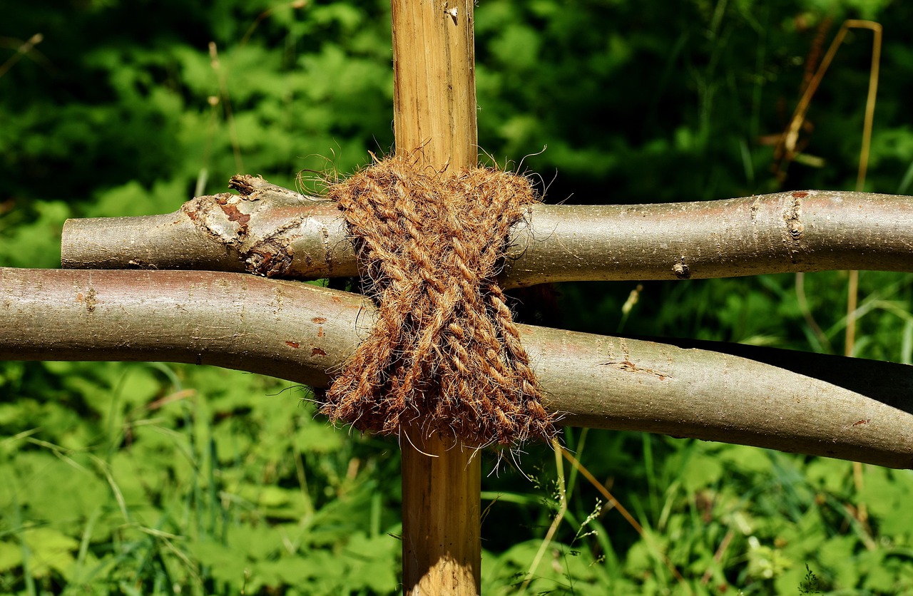 敬老の日に贈るサプリギフトが喜ばれるポイントは？