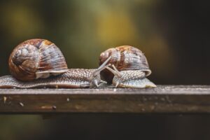 敬老の日におすすめのサプリギフトは二世帯住宅の両親向けに最適ですか？