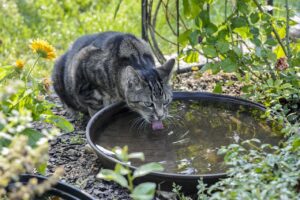 敬老の日に既にサプリを飲んでいる親へのおすすめサプリギフトは？
