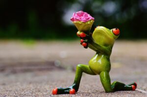敬老の日に親に贈るサプリギフトで物は増やしたくない理由は？